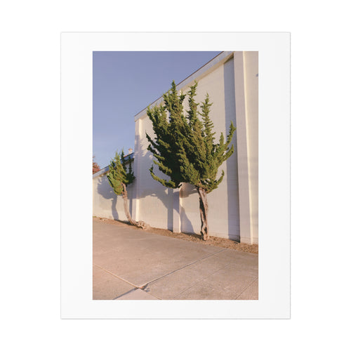 Trees Print