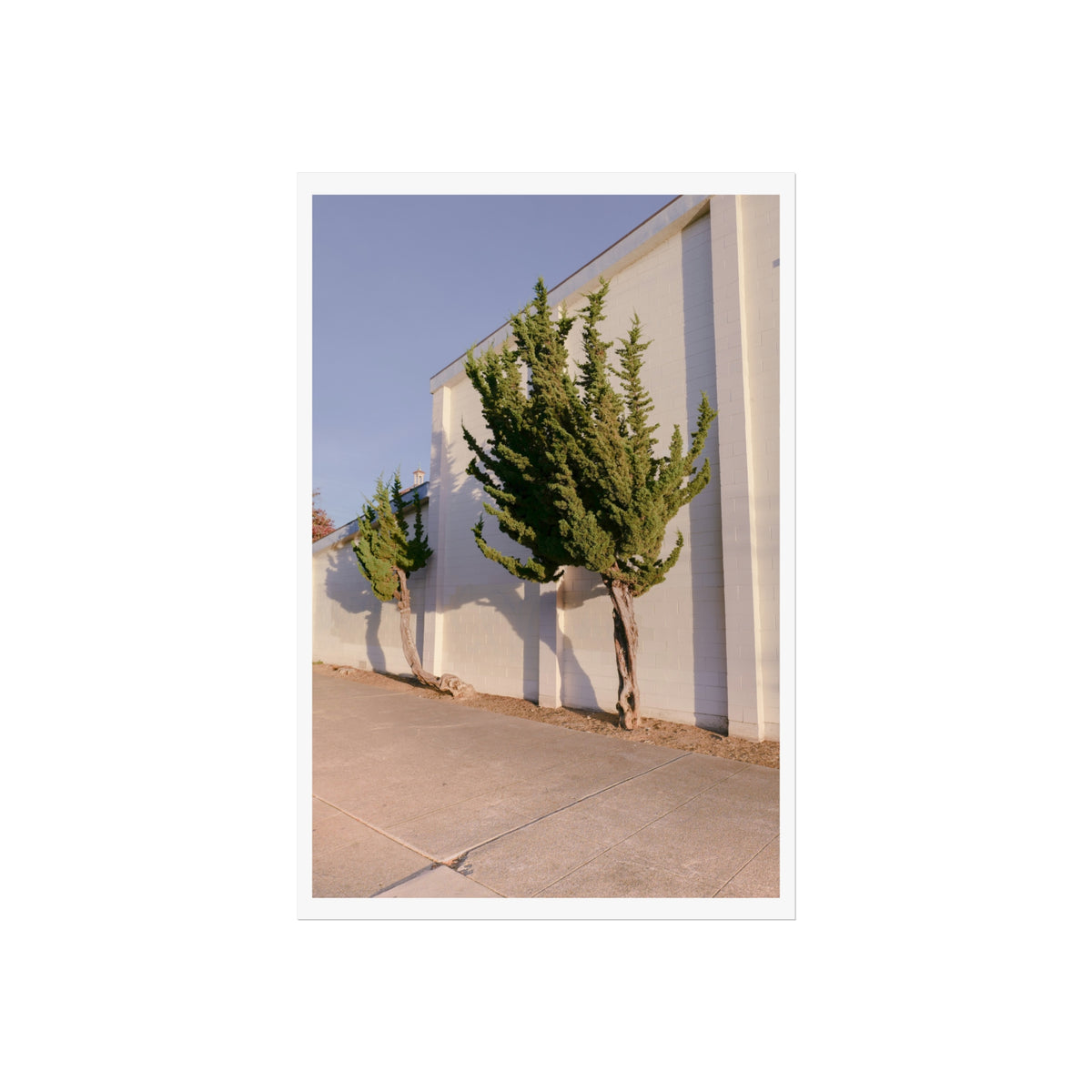 Heart to Heart Print (Trees)