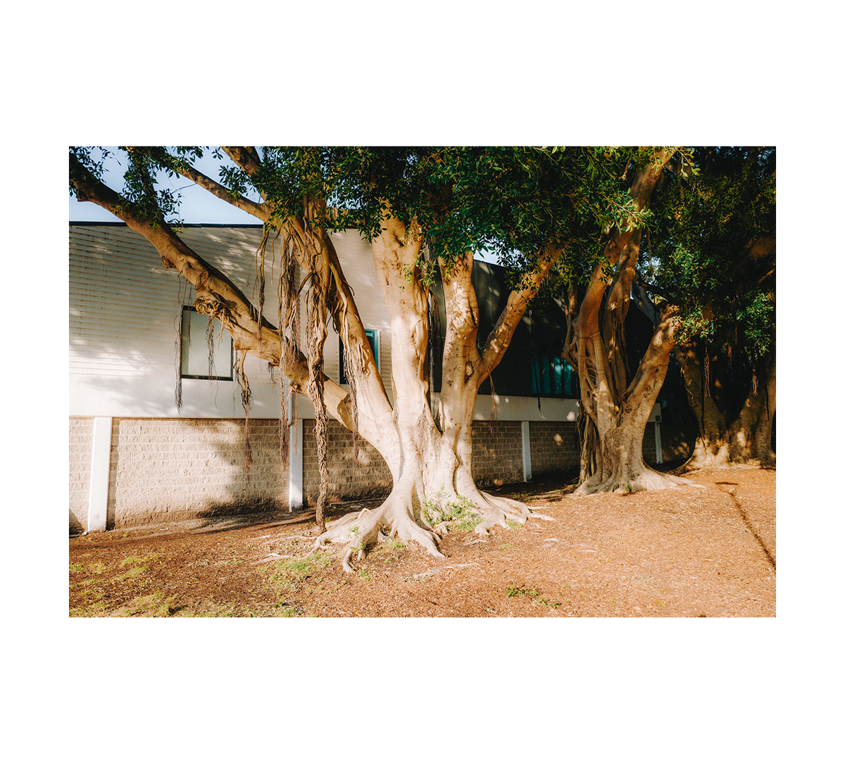 Heart to Heart (2019-2026) by Cole Thorpe
