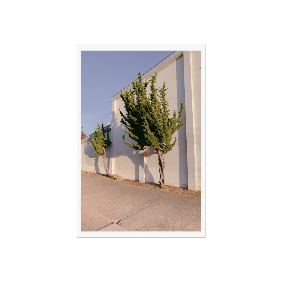 Heart to Heart Print (Trees)